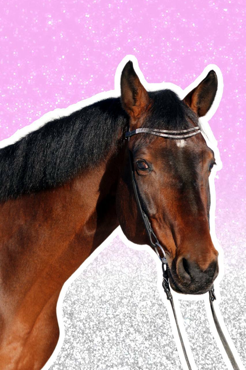 Гонконг (Hong Kong) 2014г.р.&nbsp;